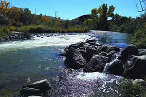 Uncompahgre River running through Baldridge Park