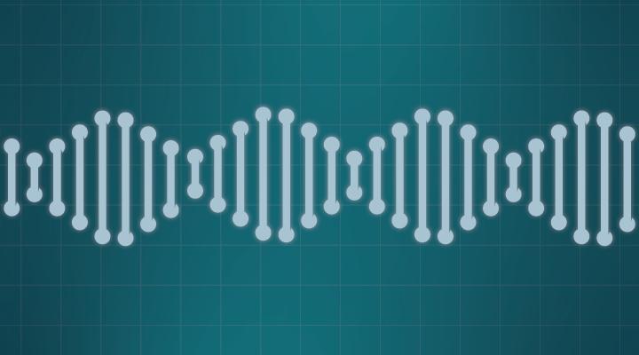 Digging into DNA